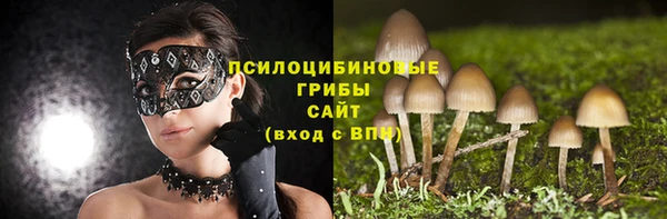 тгк Баксан