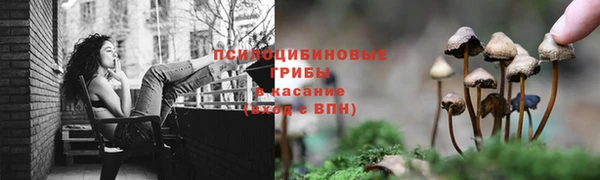 тгк Баксан