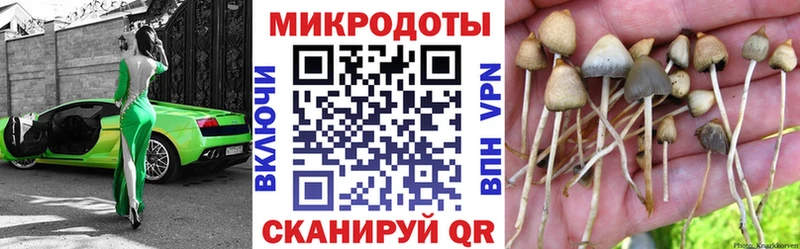 kraken ТОР  Калининец  Галлюциногенные грибы MAGIC MUSHROOMS 